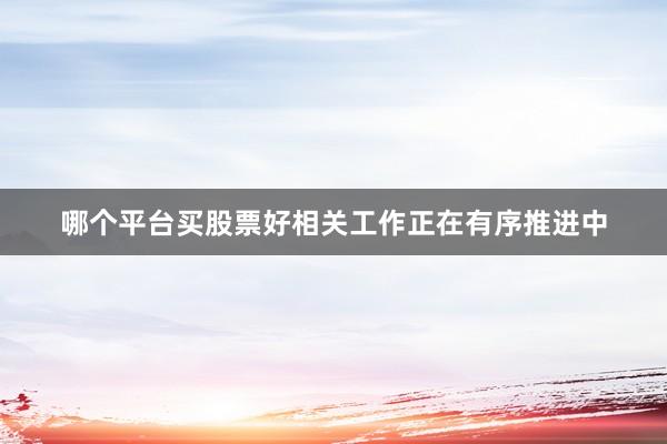 哪个平台买股票好相关工作正在有序推进中