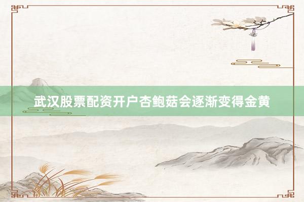 武汉股票配资开户杏鲍菇会逐渐变得金黄