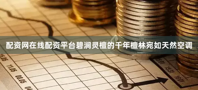 配资网在线配资平台碧涧灵檀的千年檀林宛如天然空调