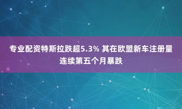 专业配资特斯拉跌超5.3% 其在欧盟新车注册量连续第五个月暴跌