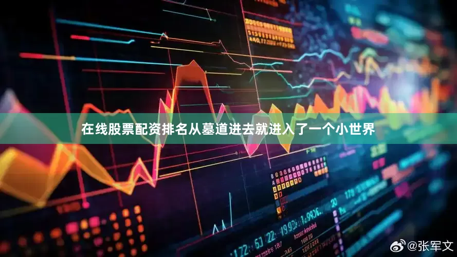 在线股票配资排名从墓道进去就进入了一个小世界
