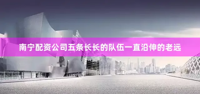 南宁配资公司五条长长的队伍一直沿伸的老远