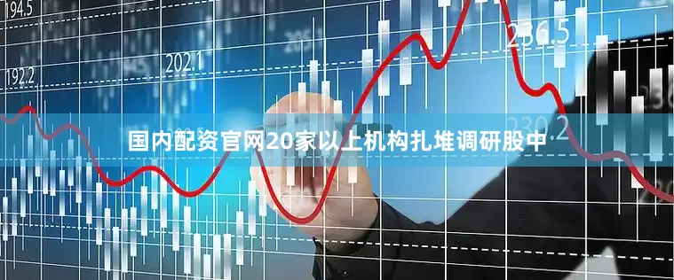 国内配资官网20家以上机构扎堆调研股中
